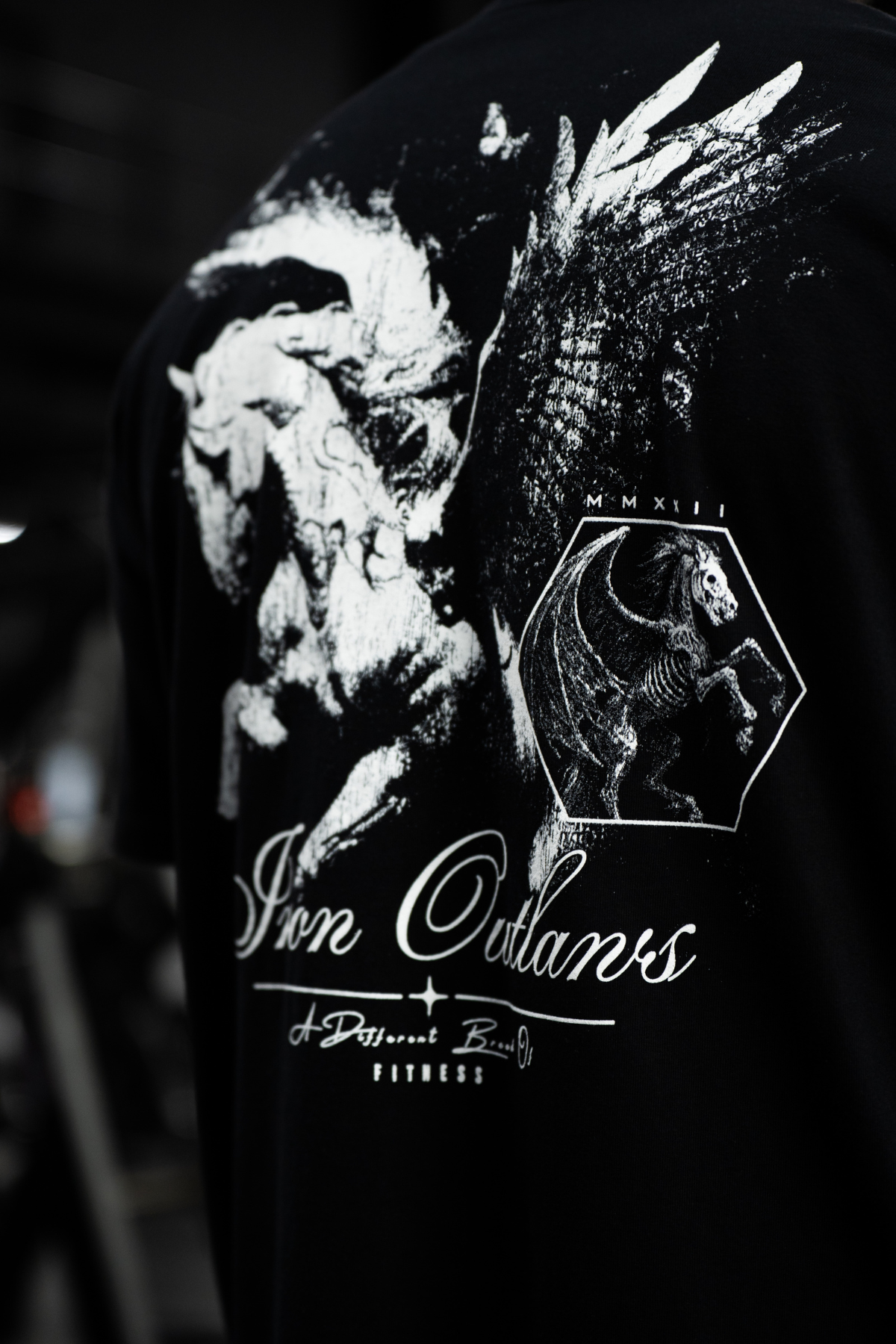 Iron Pegasus Oversized Tee