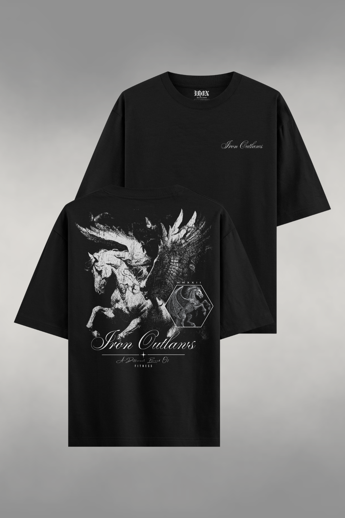 Iron Pegasus Oversized Tee
