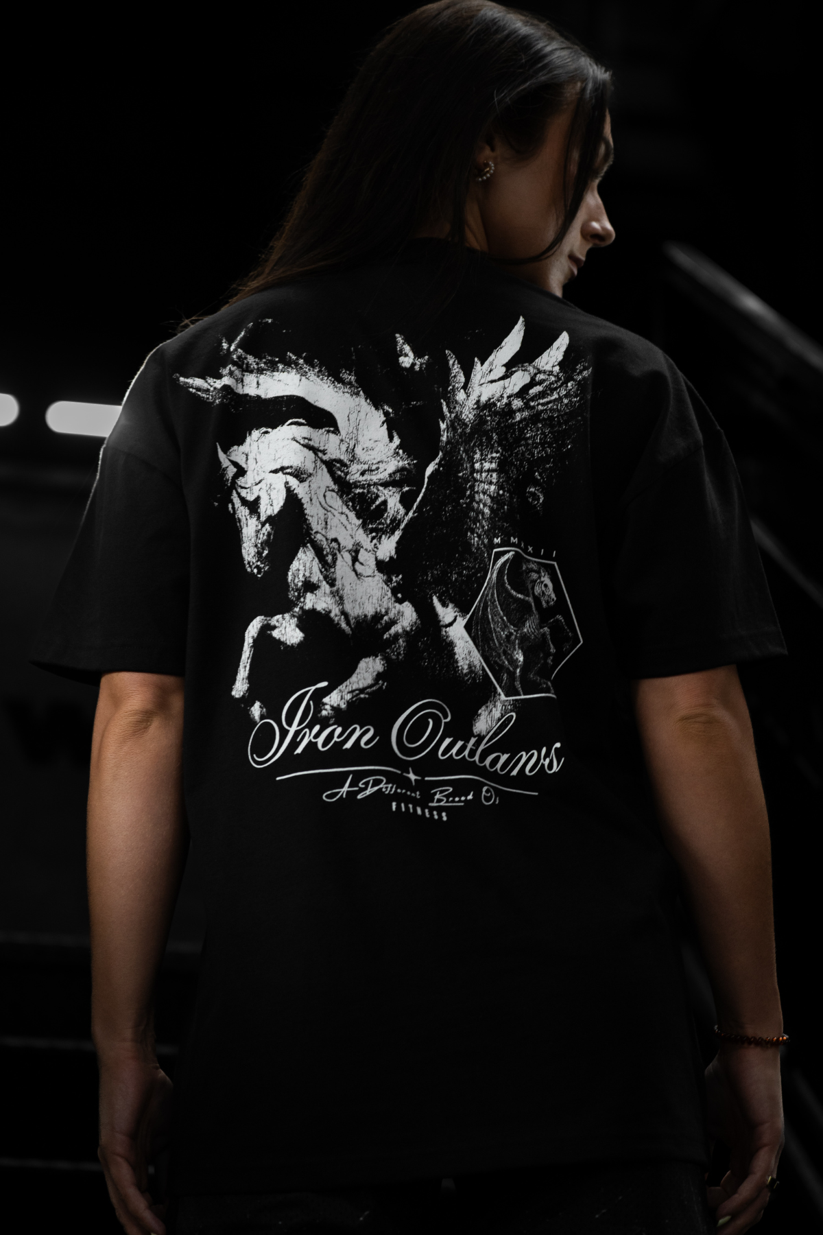Iron Pegasus Oversized Tee